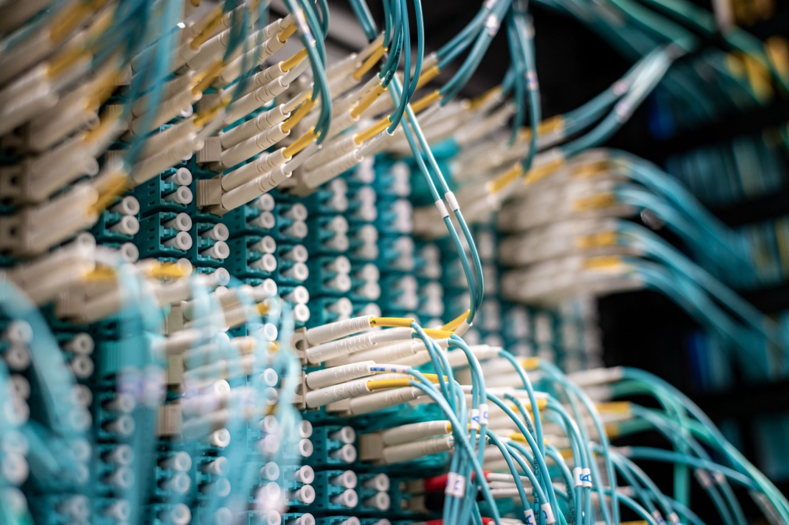 Tech work for businesses in Leith